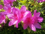 20140430_093402.jpg